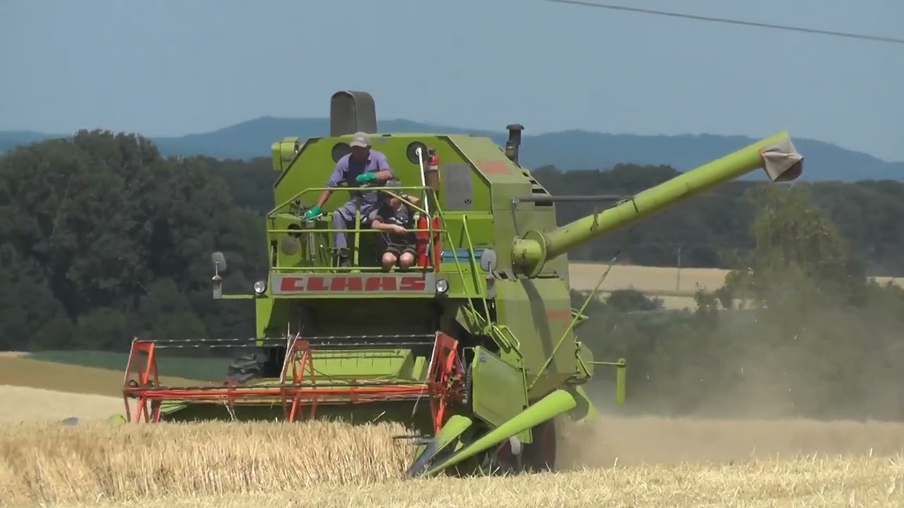 Claas Oldtimer Drescher beim Gerste Dreschen in Mainfranken im Juli bei Ochsenfurt