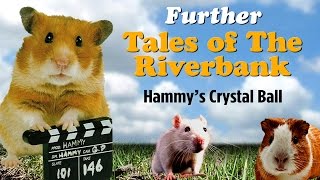 Hammy's Crystal Ball