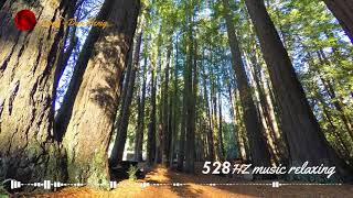 528hz music relaxing [#8] - creative commons, reuse allowed