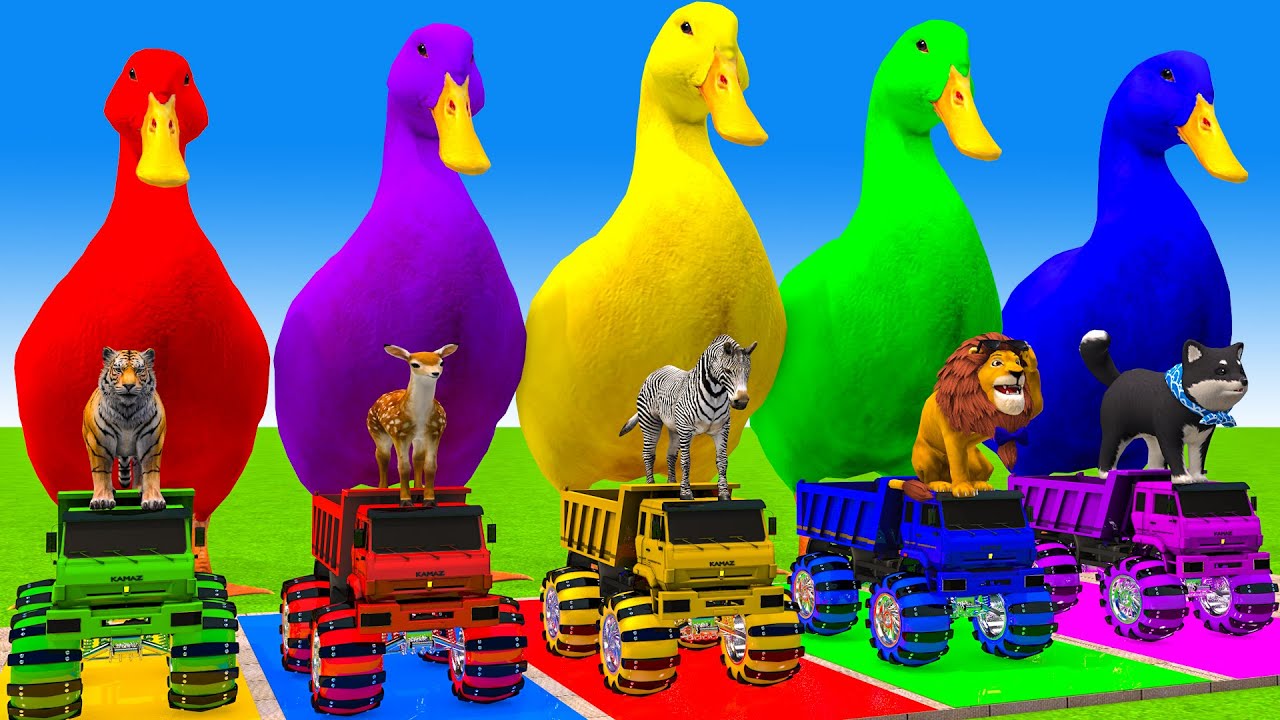 Long Slide Game With Cow Elephant Gorilla Hippopotamus Tiger 3d Animal Game Funny 3d Animals