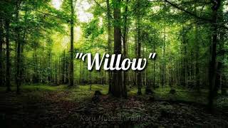 Taylor Swift - Willow (Lyrics)