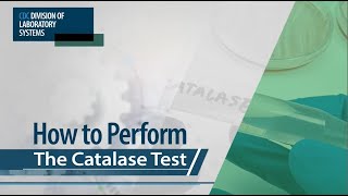 How to Perform The Catalase Test by Centers for Disease Control and Prevention (CDC) 995 views 2 weeks ago 6 minutes, 50 seconds