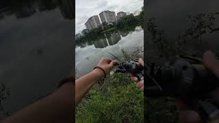 Flutterstick fav #mancing #fishing #peacockbass #tucunare