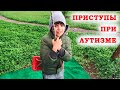 ПРИСТУПЫ при аутизме. Как лечимся и какое питание