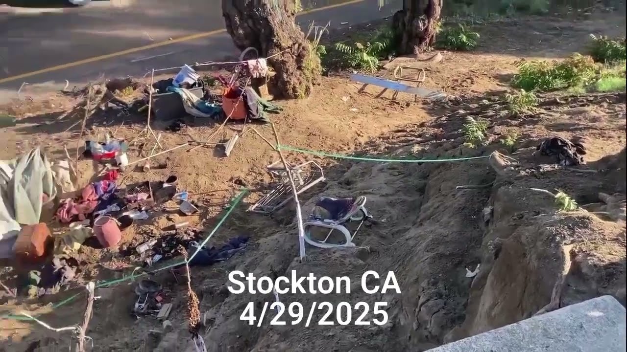 Concrete Jungle: Taxpayer Dollars Down the Drain in the Vagrant Playground.