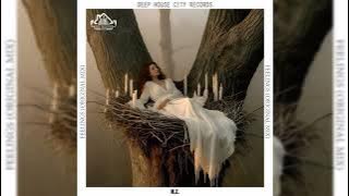 N.Z. - Feelings (Original Mix) #deephousecityrecords 