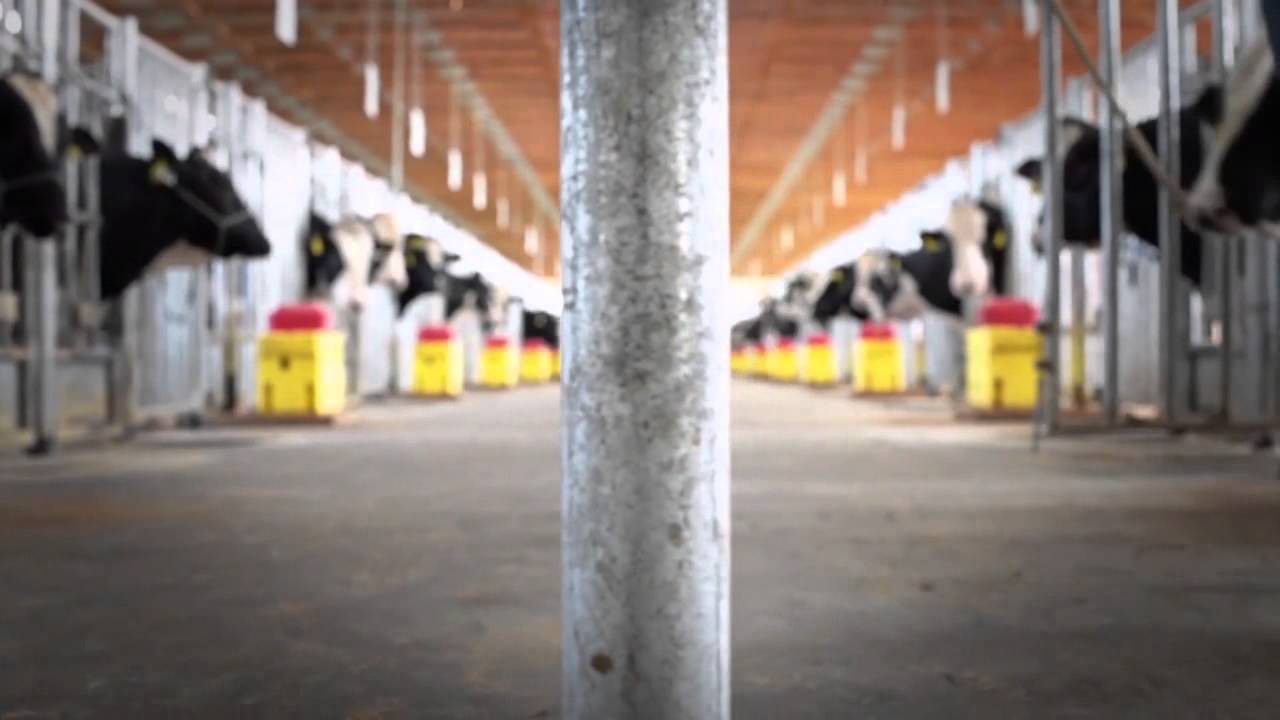 Developing the Next Generation of Genetics