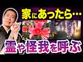 【植物 風水】家にあると危険!不幸や霊を呼び寄せるNG植物5選