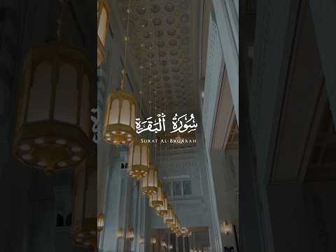 و م ن ه م م ن ي ق ول ر ب ن آ ء ات ن ا ف ى ٱلد ن ي ا ح س ن ة سورة البقرة