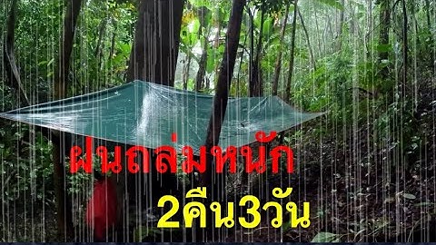 ฝนตกหนักทั้งวันทั้งคืน กับ พี่เขย ในป่าลึก 3วัน2คืน