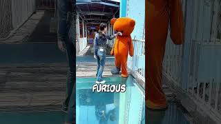 The Panda Who Solved Everything