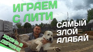 ОСТОРОЖНО ЗЛАЯ СОБАКА ИГРА ОСТОРОЖНО ЗЛАЯ СОБАКА ИГРА