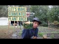 Lets make fermented plant juice