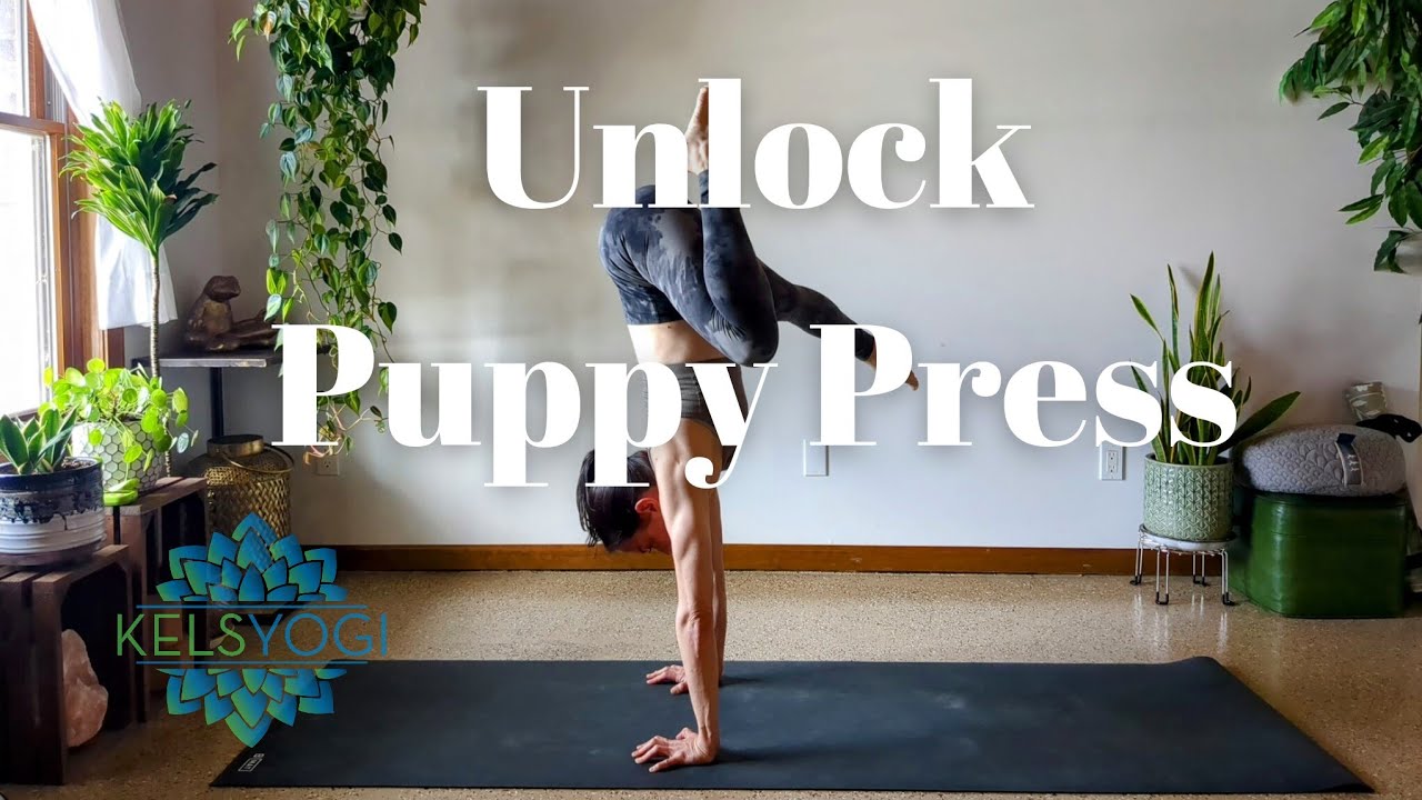 The Keys to Unlocking Puppy Press
