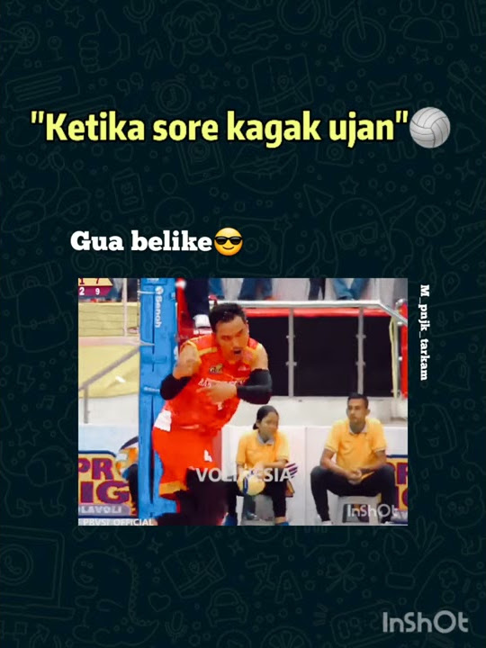 story wa voli bal keren 30 detik