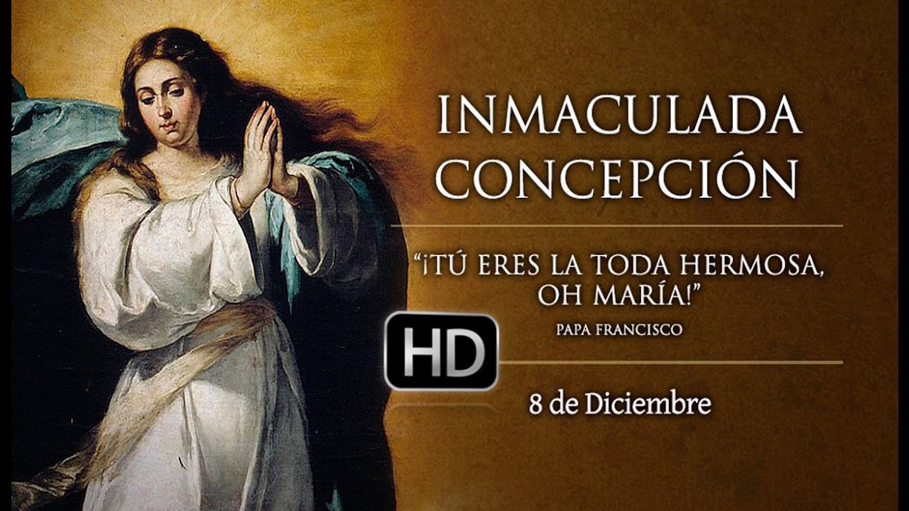 Cancion De La Virgen Inmaculada Concepcion Letra
