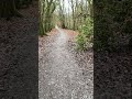 A walk in the woods and what little remains of the snow #nature