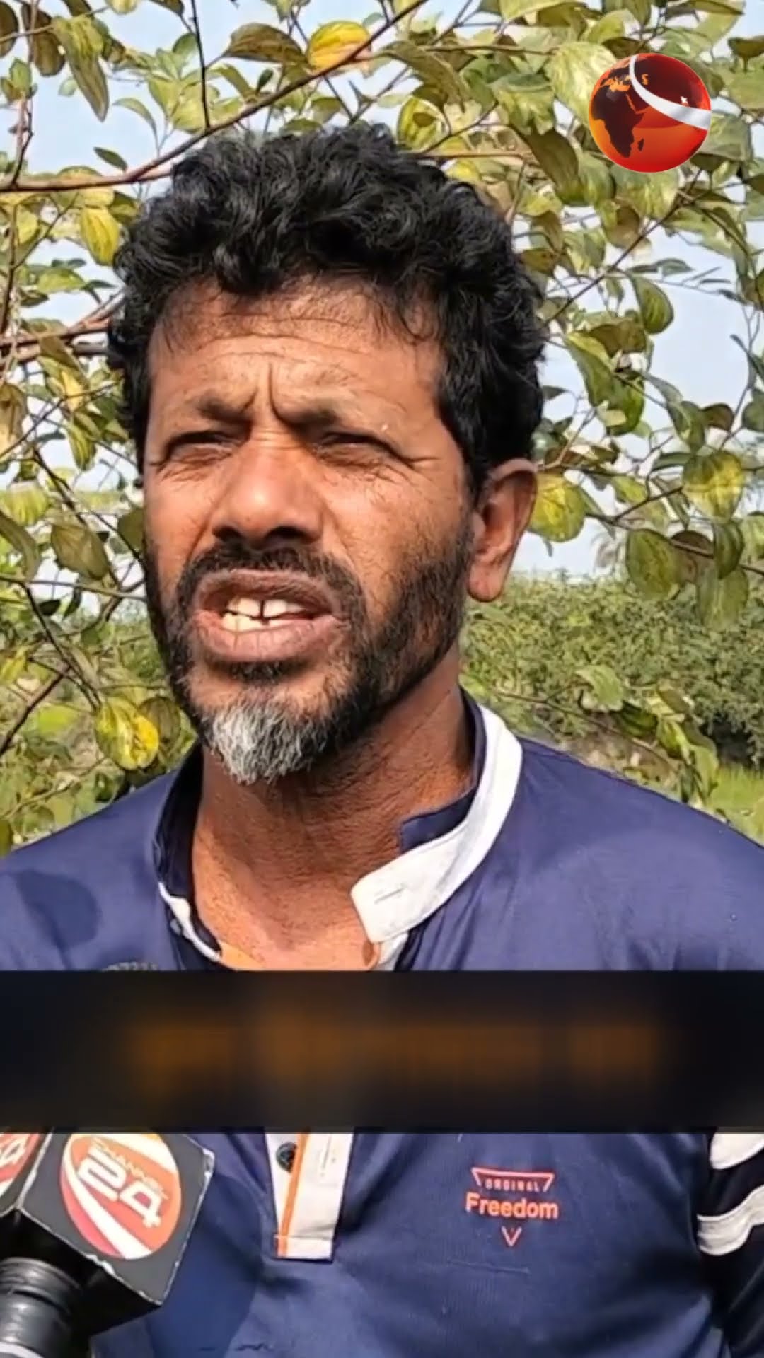 কুল উৎপাদনে ধস #collapse #production #plum #bagerhat #news #downfall #Channel24