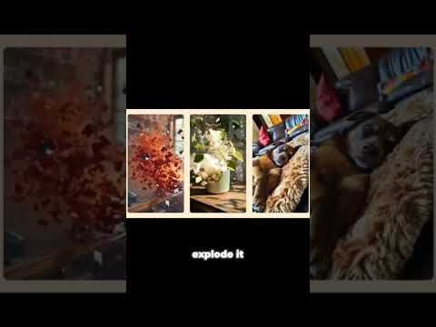 Как сделать такое видео? #aichatbot #ии #chatgpt #нейросеть #искусственныйинтеллект