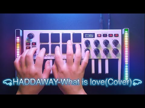 Haddaway - What Is Love Cover