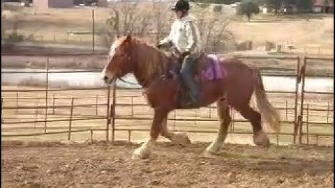 "Billy"     ***For up-to-date info, price, etc., go to our website***