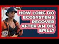 How Long Do Ecosystems Recover After An Oil Spill? - Maritime Defenders