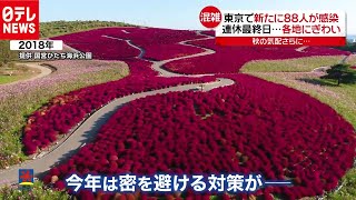 「新型コロナ」で“秋祭り”中止相次ぐ中…あえて開催のワケ（2020年9月22日放送 news every.より）
