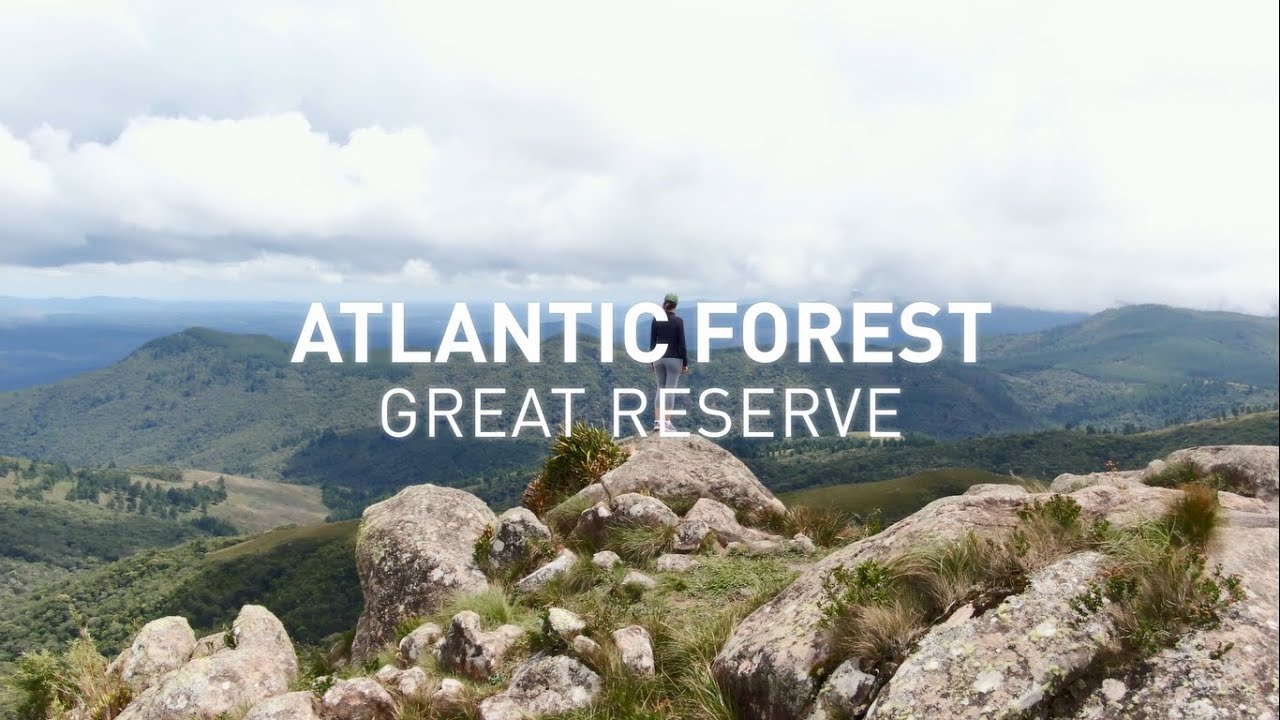 Atlantic Forest Great Reserve: an example for the world 