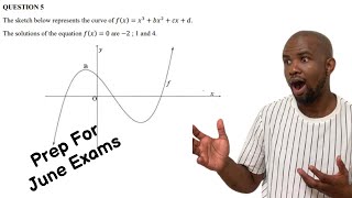 Prep For June Exams | Grade 12 | Cubic Graphs | Interpretation | Mathematics