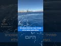 המתרחצים והמבלים במפרץ אילת נתקלו הבוקר באורח מסוכן - כריש עמלץ כחול