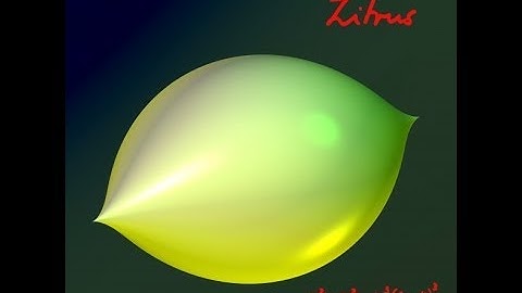 [VIASM] Public Lecture on IMAGINARY - Prof. Gert-Martin Greuel P.2