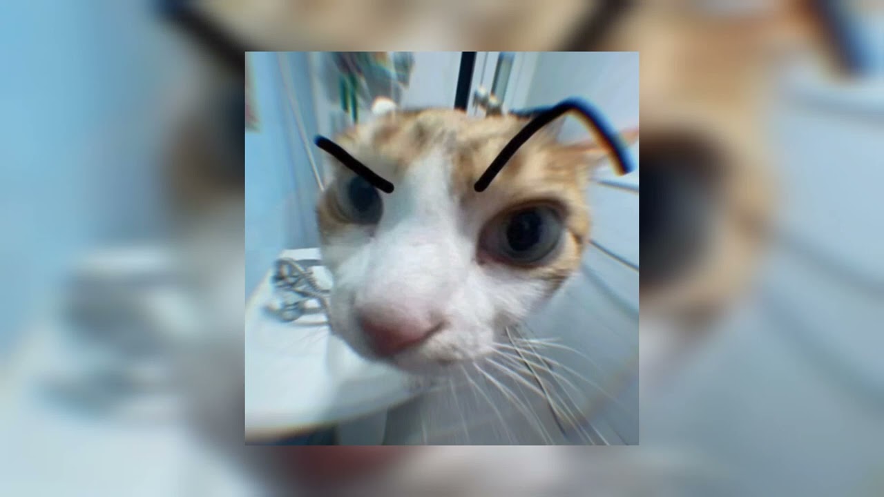 sing for the moment - eminem (sped up)