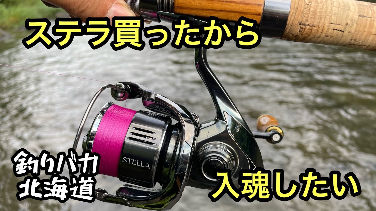 渓流釣り】22ステラ購入！初釣行で入魂なるか【ルアーフィッシング