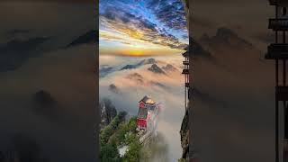 Only When You Reach The Golden Summit Can You Truly Experience Wudang #Scenery #Tourism #Shorts