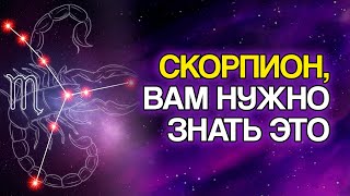 видео: 10 УРОКОВ, Которые СКОРПИОН Должен Изучить В 2025 Году картинка: 10 УРОКОВ, Которые СКОРПИОН Должен Изучить В 2025 Году