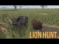 Roblox: LION HUNT #4 (Testing A/Testing C)