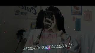 LAGU JOGET SA FLY  REMIX | ENAK VIRAL TIKTOK 2022