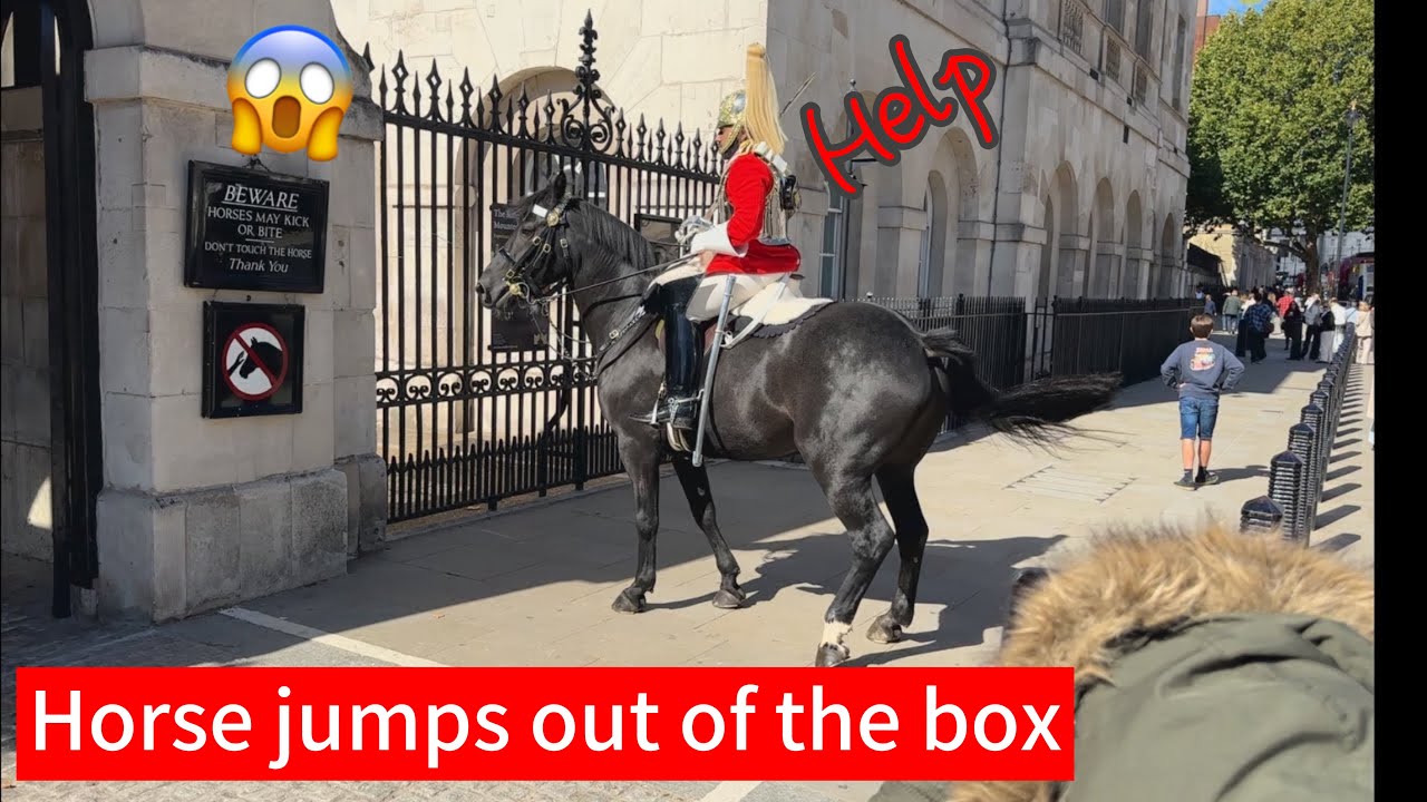Horse Spooks & Escapes Guard Post at Horseguards