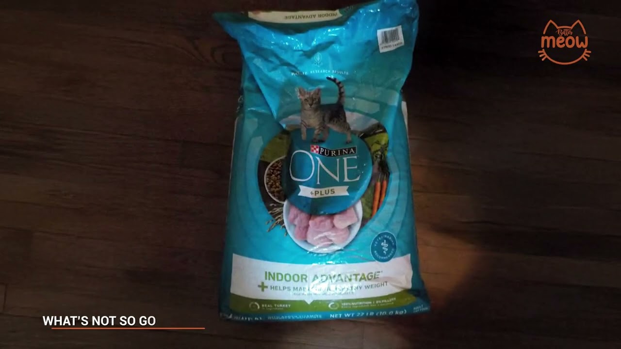 tough dog toy BARK Drop the Bass Super Chewer Hardcore Tough Dog Toy main image 0