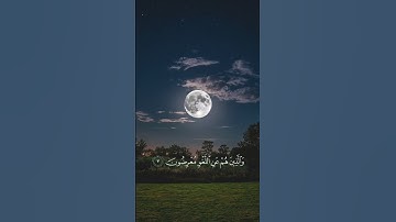 الشيخ ياسر الدوسري سورة المؤمنون ❤️ #قرآن #ياسر_الدوسري