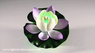 Floating Lotus Lily Pad with Color Changing LED-Demo