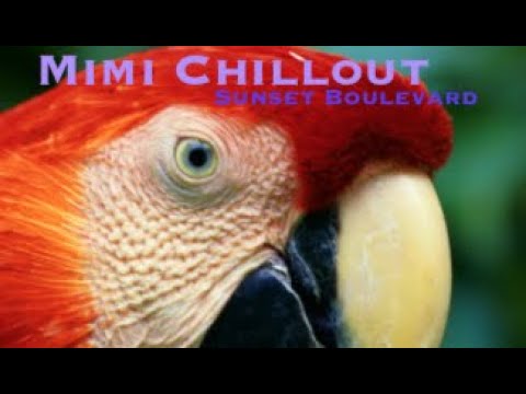 Mimi ChillOut auf YouTube ansehen Mimi ChillOut auf YouTube ansehen