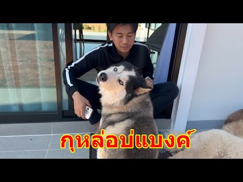 ผลสลากกินแบ่งรัฐบาล วันที่ 1 พย. 2567 ผลสลากกินแบ่งรัฐบาล วันที่ 1 พย. 2567
