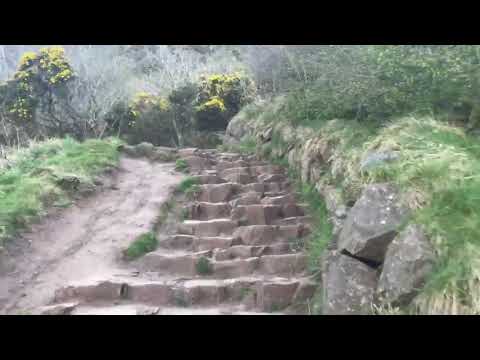 Arthur's Seat, Part 3 | VicDibitetto.net