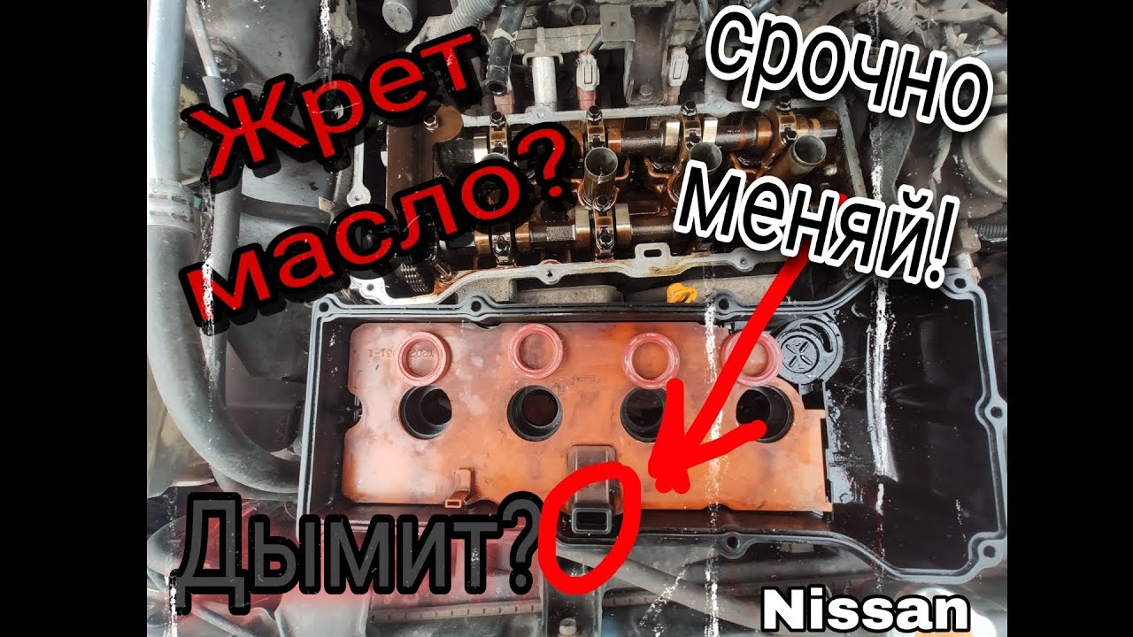Двигатель дымит и жрет масло. (Nissan AD) QG15DE,16,18 Решение есть ...