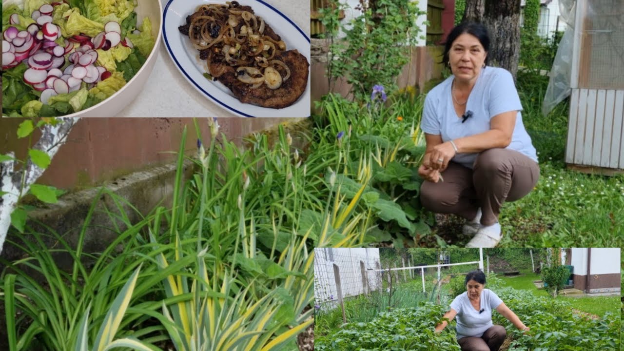 Procvala bašta, sve raste k'o iz vode! A u kuhinji miriše teleća džigerica🌺