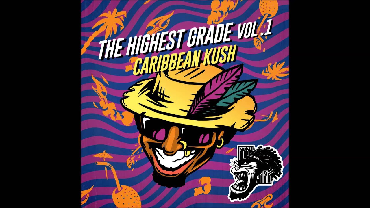 DJ Punish & The Partysquad - Wave Your Hands