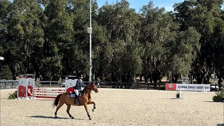 Casper - 5th 0.95m $500 Novice Amateur Jumper Classic - WEC December II 2025