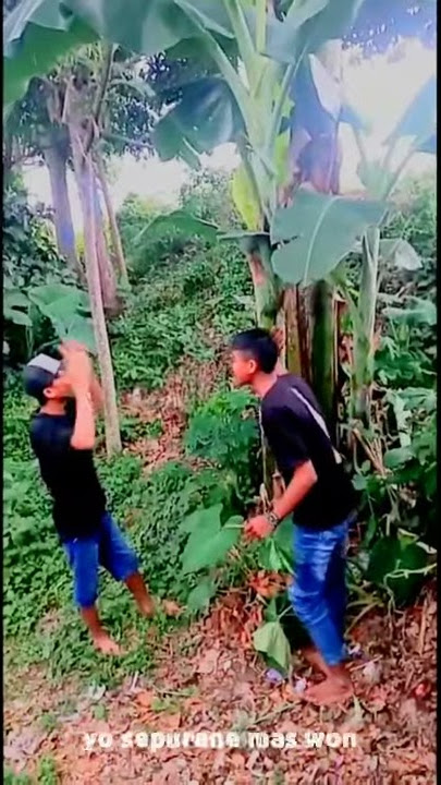 story WA bahasa jawa kadung sayang..