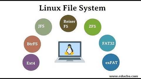Mastering the Linux File System: A Beginner